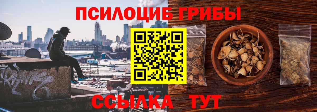 Псилоцибиновые грибы MAGIC MUSHROOMS Асино